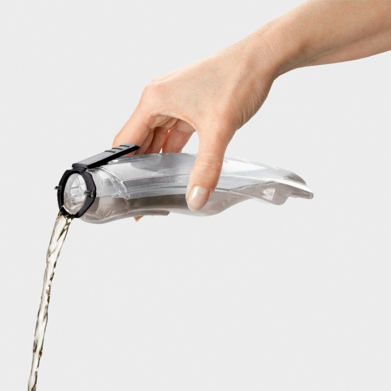 Karcher WV 2 Plus Window Vac