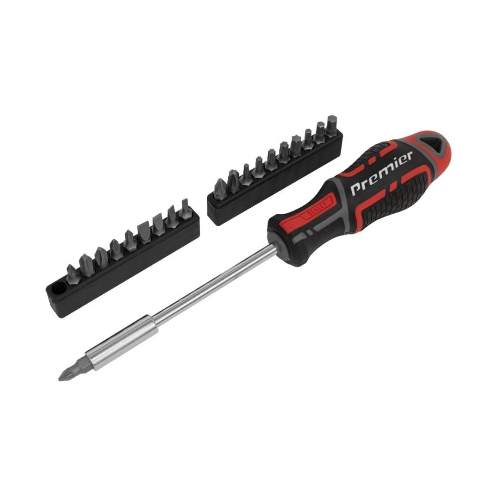 Sealey AK4329 Screwdriver & Bit Set 21pc GripMAX®