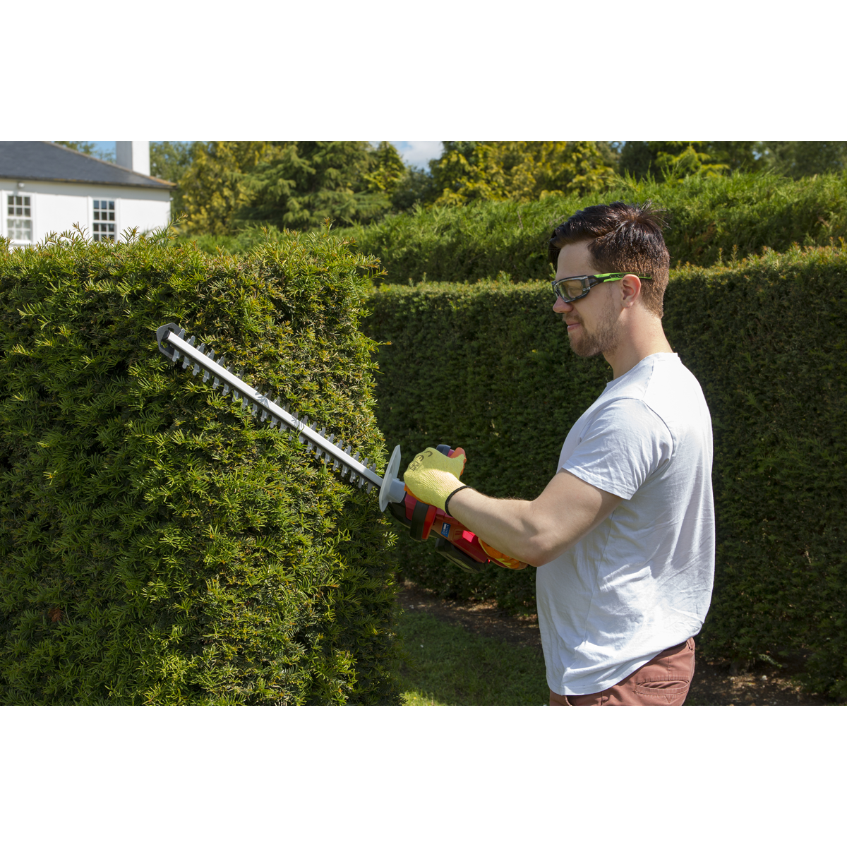 Sealey CHT20VCOMBO4 SV20 Series Cordless Hedge Trimmer 20V 4Ah with Battery & Charger