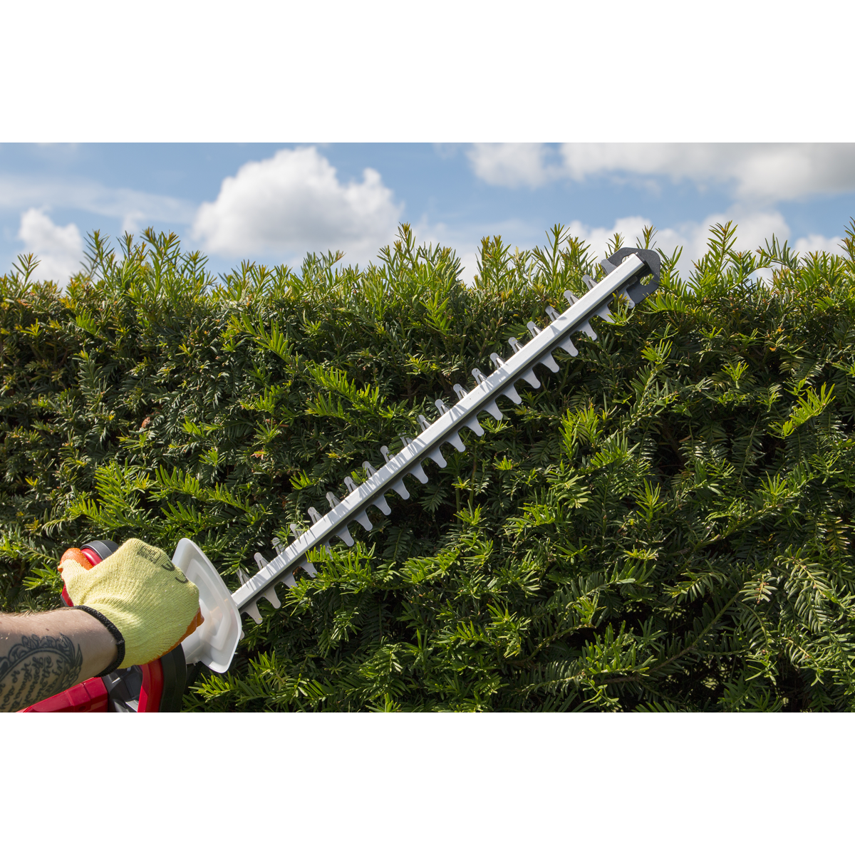 Sealey CHT20VCOMBO2 Hedge Strimmer Cordless 20V with 2Ah Battery & Charger