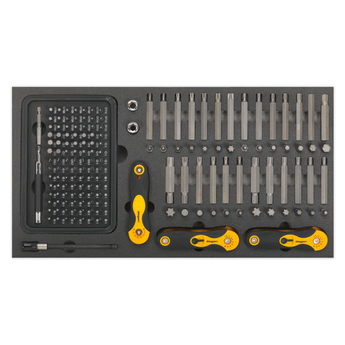 Sealey S01126 Tool Tray with Specialised Bits & Folding Hex Keys 192pc