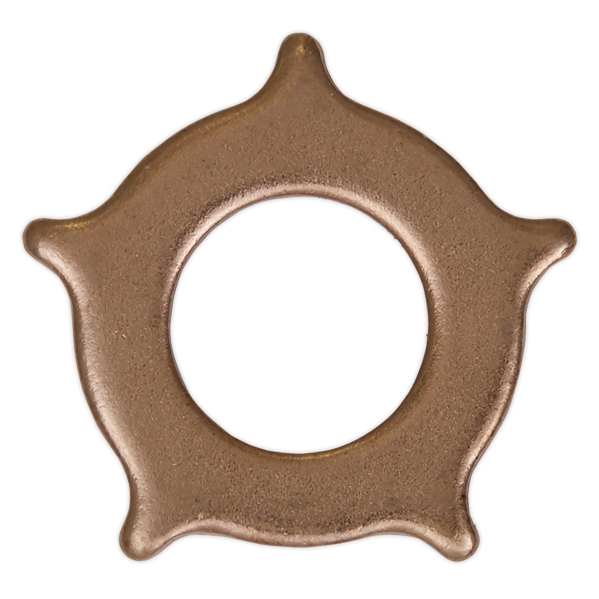 Sealey SR2000.SW Star Washer for SR2000 Pack of 10