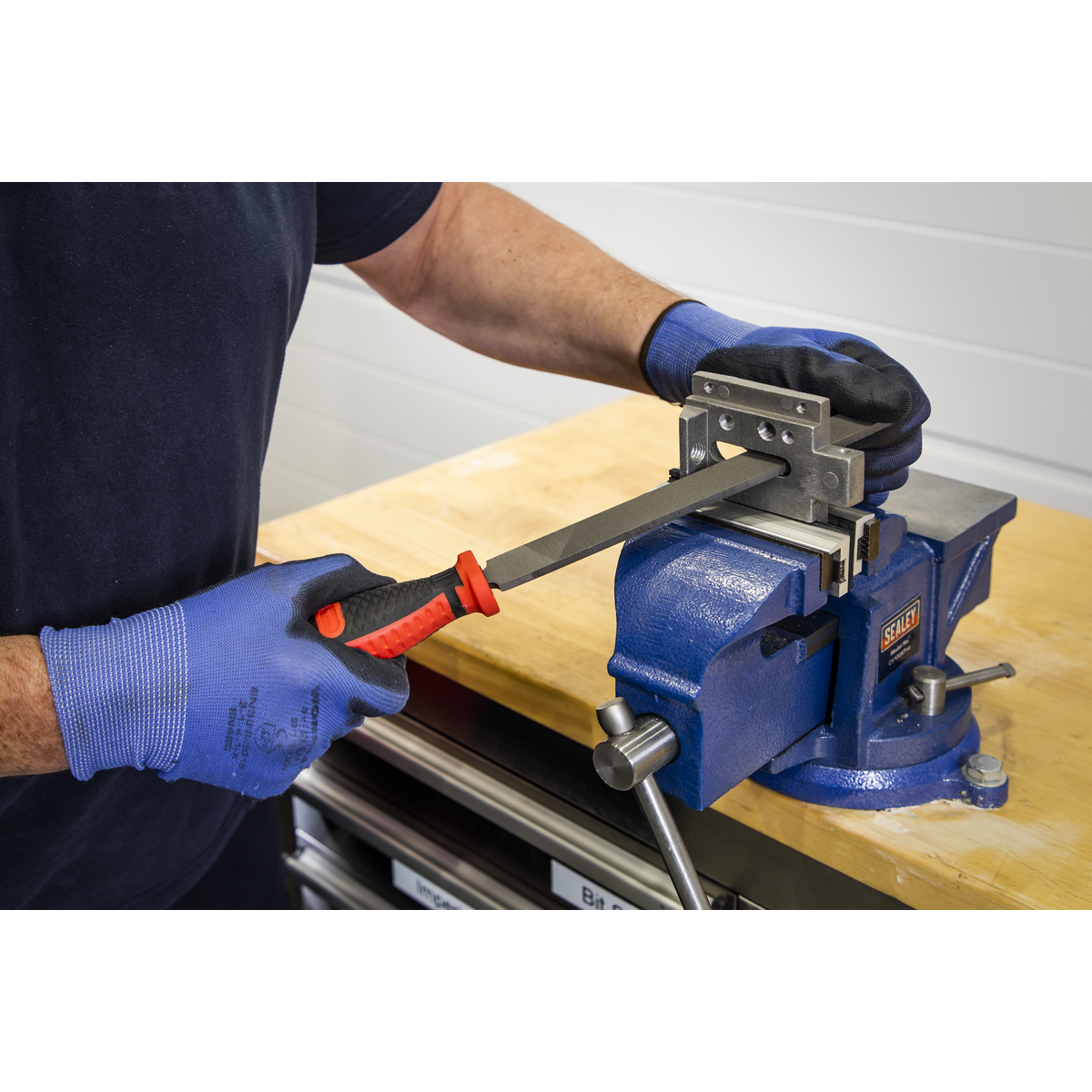 Sealey TBT09 Tool Tray with Engineer€™s File Set 5pc