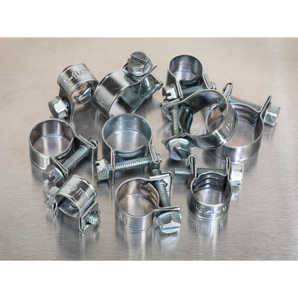 Sealey AB042MH Mini Hose Clip Assortment 100pc