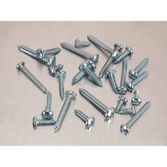 Sealey AB064STPP Self Tapping Screw Assortment DIN 798CZ 305pc Pan Head Pozi Zinc