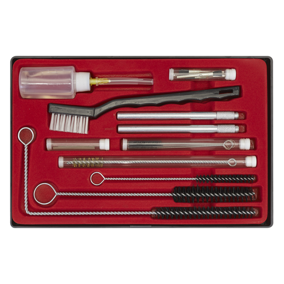 Sealey BSGC5 Spray Gun Cleaning Set 22pc