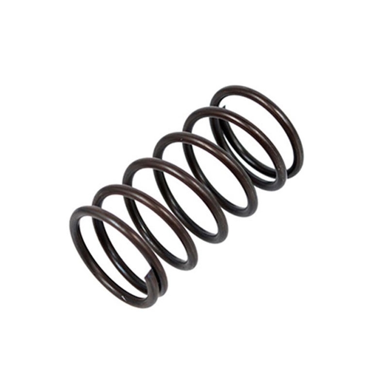 Karcher 9047023 Pressure Washer Piston Spring