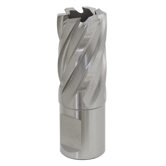 Sealey RBHSS21S Rotabor Cutter HSS Ø21mm - Cut Depth 25mm