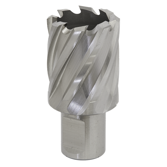Sealey RBHSS29S Rotabor Cutter HSS Ø29mm - Cut Depth 25mm