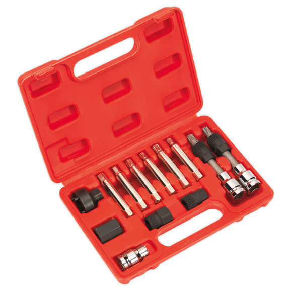 Sealey SX401 Alternator Freewheel Removal Set 13pc