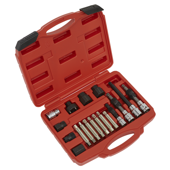 Sealey SX402 Alternator Freewheel Pulley Removal Set 18pc