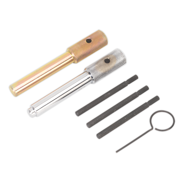 Sealey VSE5842 Diesel Engine Timing Tool Kit - for Ford, Fiat, JLR, LDV, PSA 2.0D, 2.2D, 2.4D, 3.2D - Chain Drive
